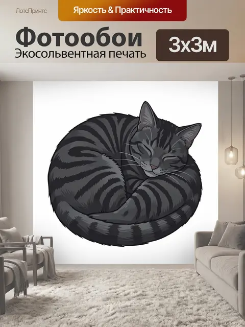 Фотообои Усатый кот спит калачиком
