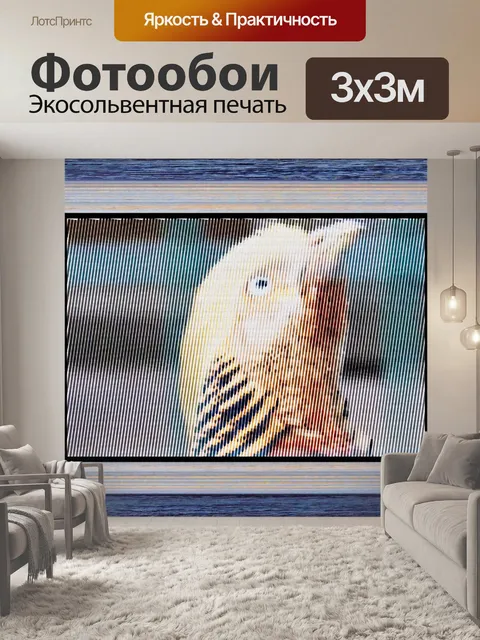 Фотообои Птичка фото