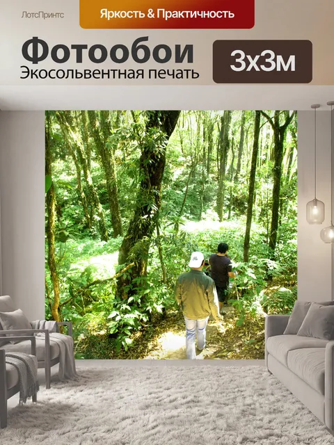 Фотообои Природа тропический лес дои Интанон наци