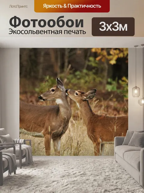 Фотообои Белохвостая лань и палевый осенью
