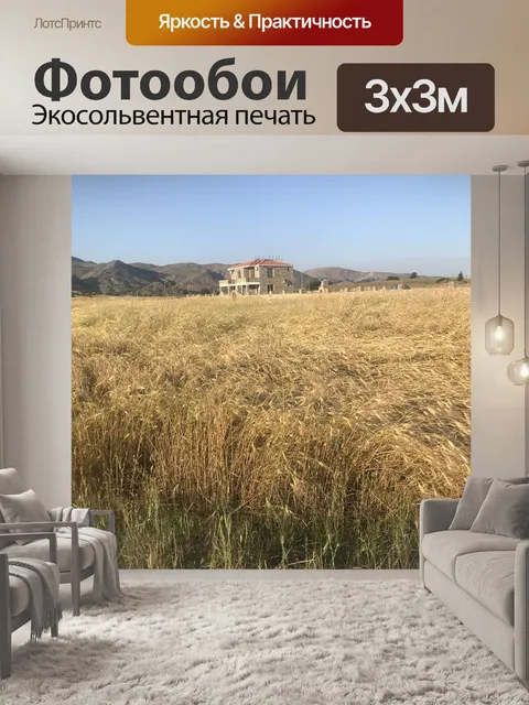 Фотообои Пшеница