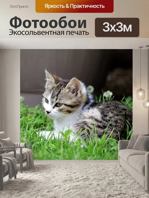 Фотообои Кот