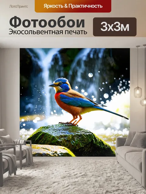 Фотообои птичка с ярким оперением, стоящая на камне у водопада, капли воды сверкают на солнце