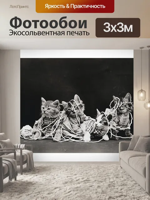 Фотообои Старинный котенок фотография старый