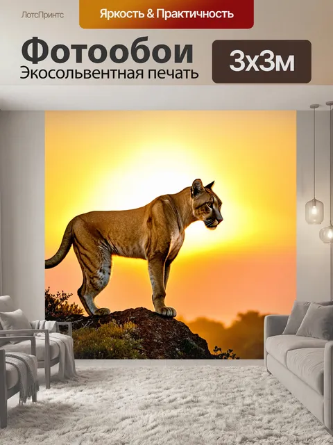 Фотообои пума, наблюдающая за закатом на вершине холма