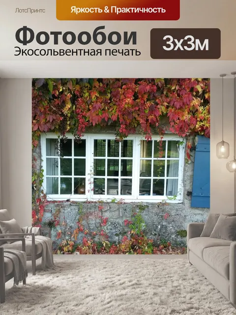 Фотообои Окно