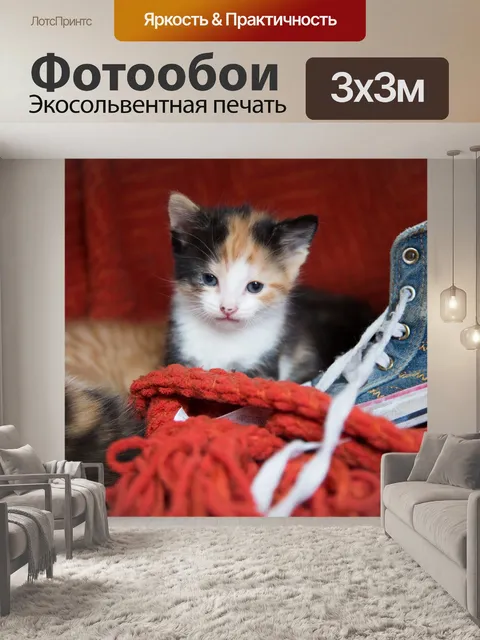 Фотообои Красивая кошка