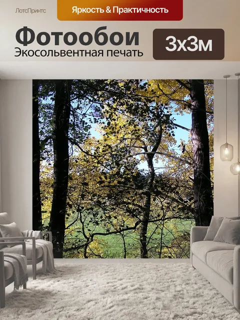 Фотообои Дерево