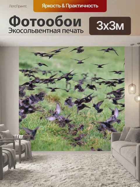 Фотообои Птицы