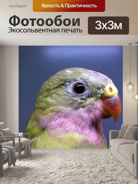 Фотообои Принцесса попугай