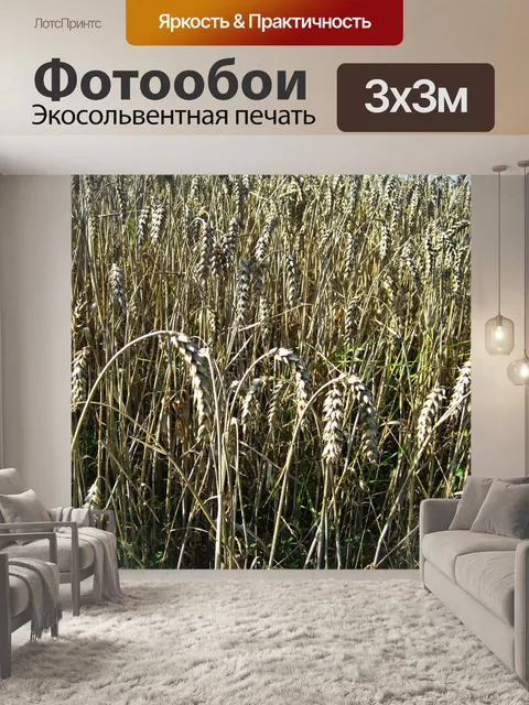 Фотообои Поле спелой пшеницы