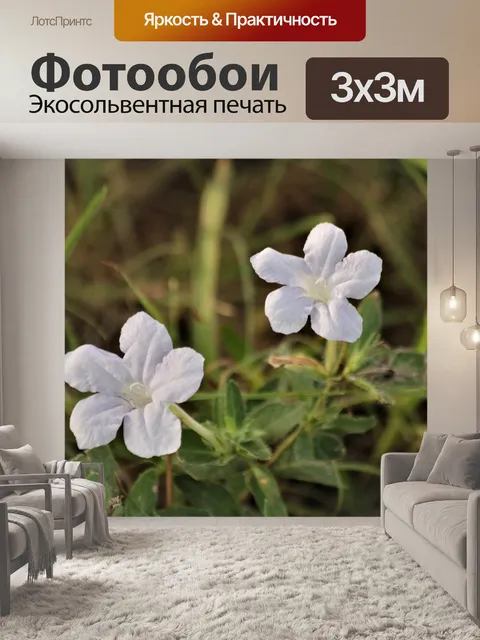 Фотообои Дикие петунии крупным планом
