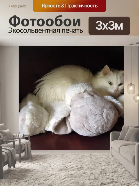 Фотообои Белая кошка