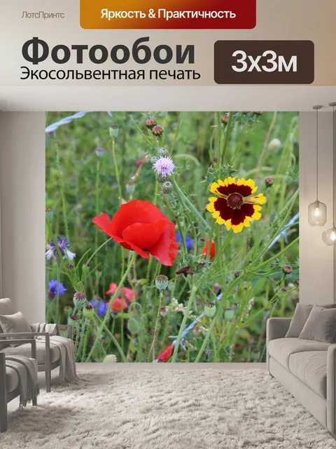 Фотообои Полевые цветы Красный мак Желтый
