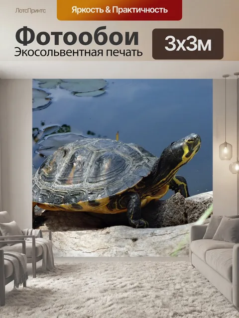 Фотообои Воды черепаха