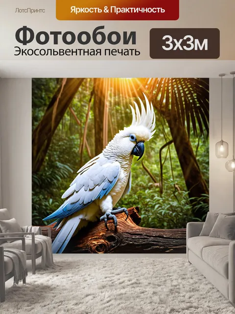 Фотообои корелла, сидящая на старом бревне в тропическом лесу, с лучами солнца, проникающими через листву