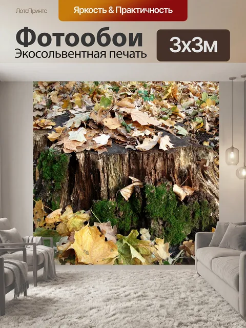 Фотообои Пень