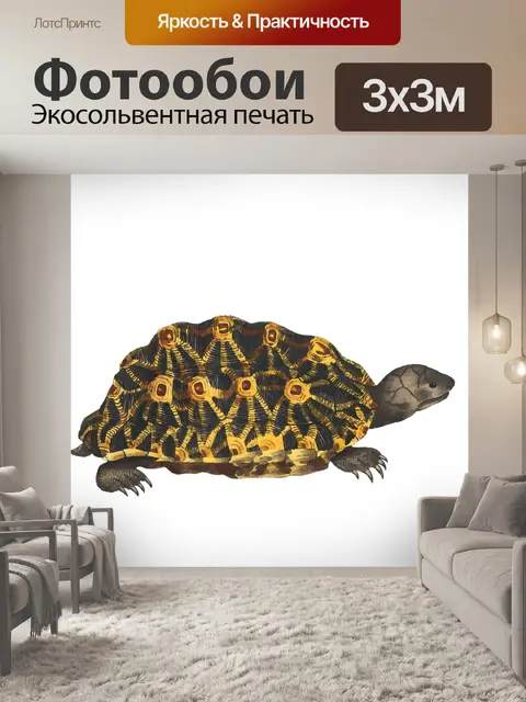 Фотообои Черепаха Акварельная живопись