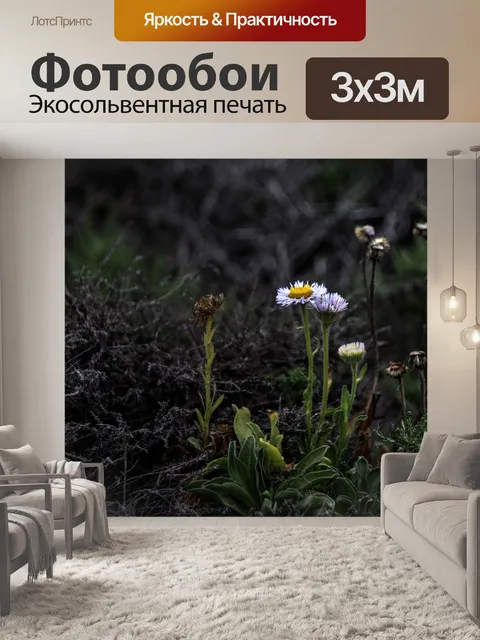 Фотообои Фиолетовые и желтые полевые цветы