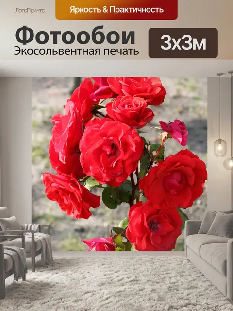 Фотообои Розовый куст