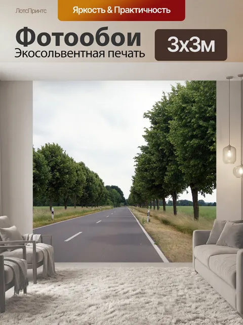 Фотообои Дорога