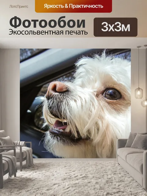 Фотообои Белый Pomapoo