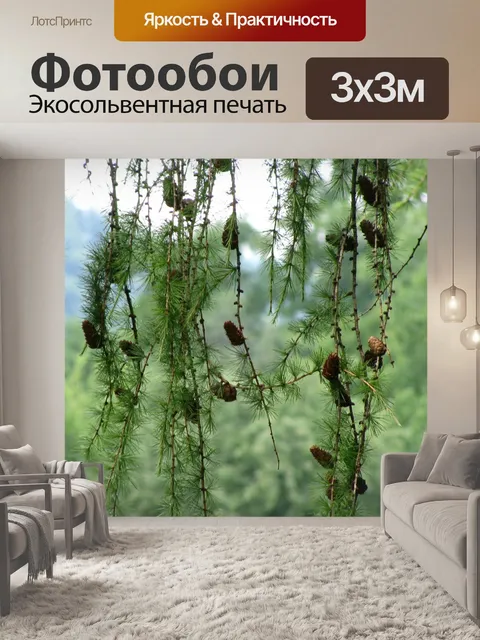Фотообои Хвойные сосновые шишки