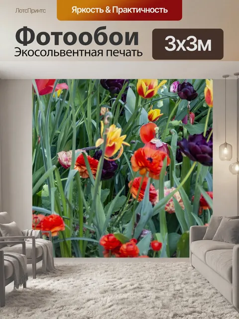 Фотообои тюльпан цветок