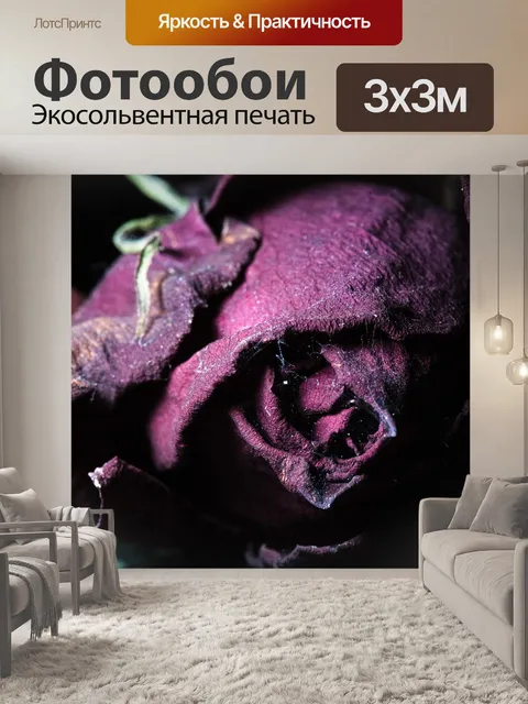 Фотообои Розовый