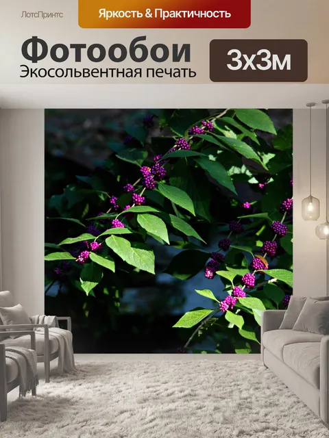 Фотообои Полевые цветы
