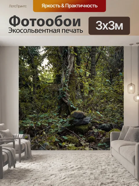Фотообои Темный