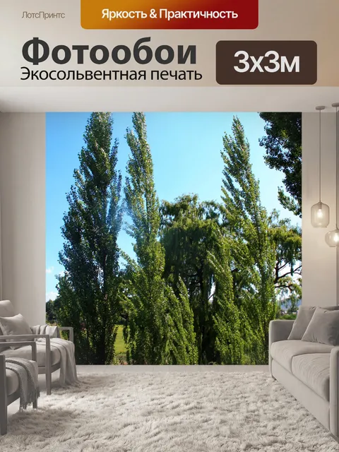 Фотообои Ломбарди тополя на Чет плотины