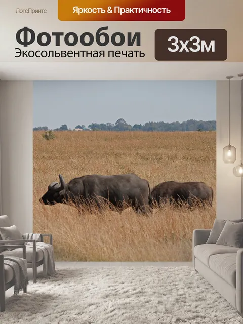 Фотообои Буйвол в траве