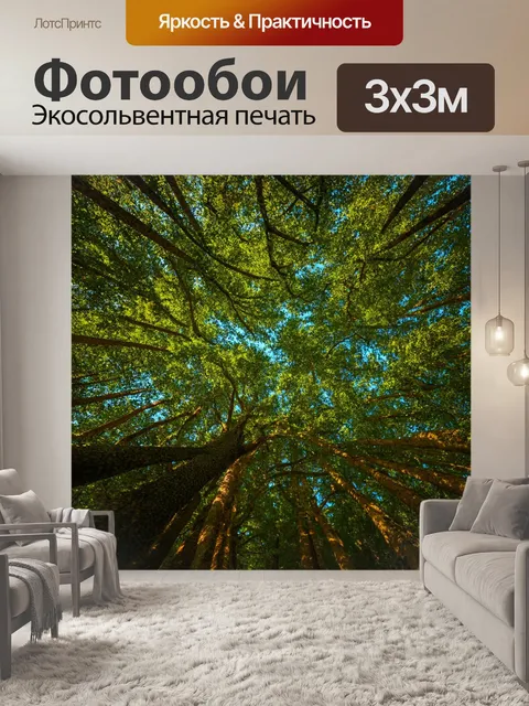 Фотообои лес с деревьями, которые создают музыку, когда ветер проходит через их ветви