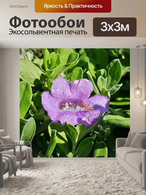 Фотообои Цветы