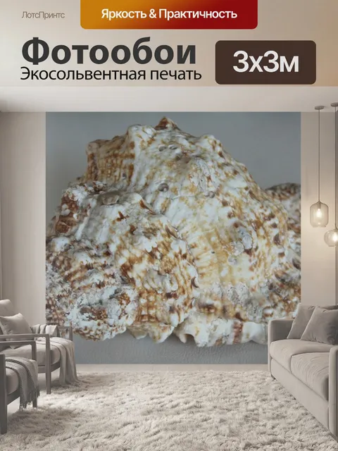 Фотообои Морская ракушка