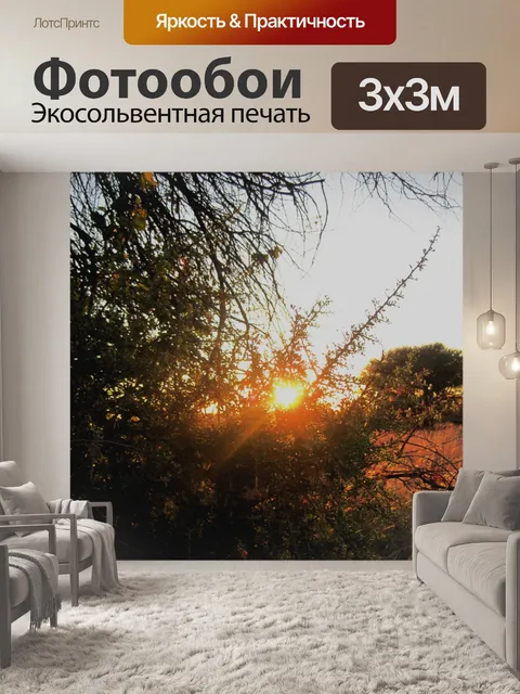 Фотообои Яркое солнце в кустах