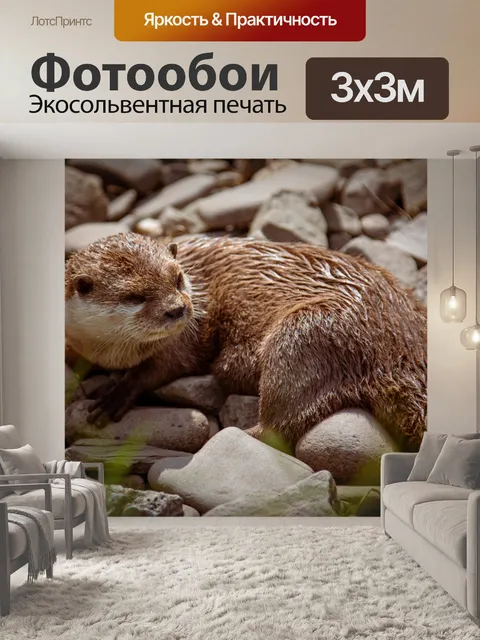Фотообои Выдра