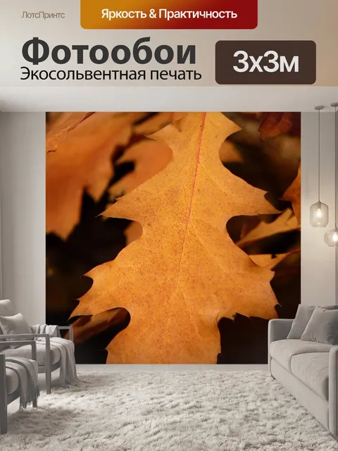 Фотообои Американский красный дуб