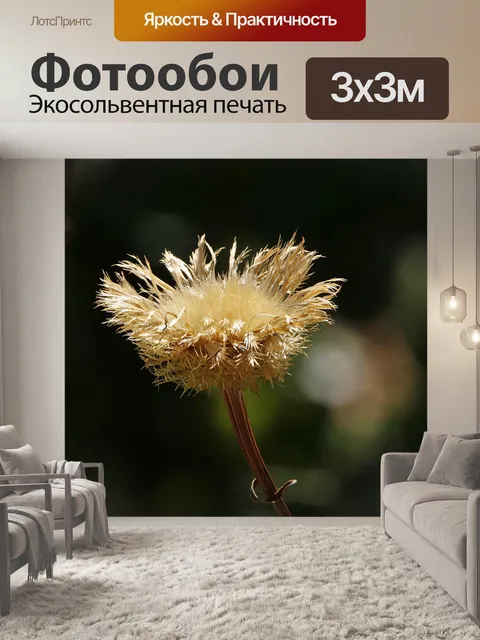 Фотообои Сушеный цветок американской корзины