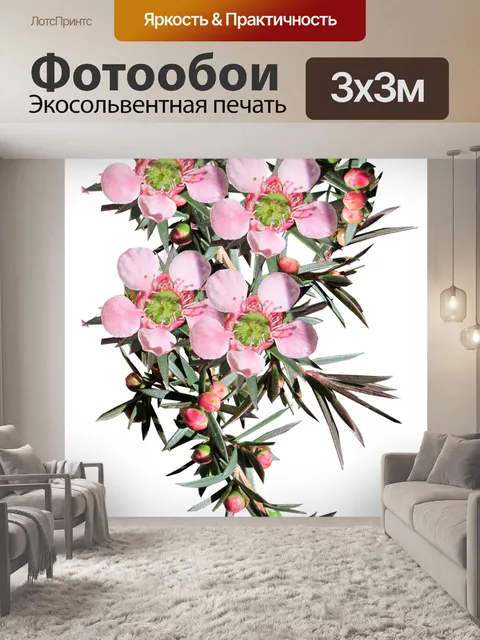 Фотообои Цветок
