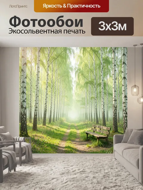 Фотообои Березовая аллея с дорожкой и скамейкой