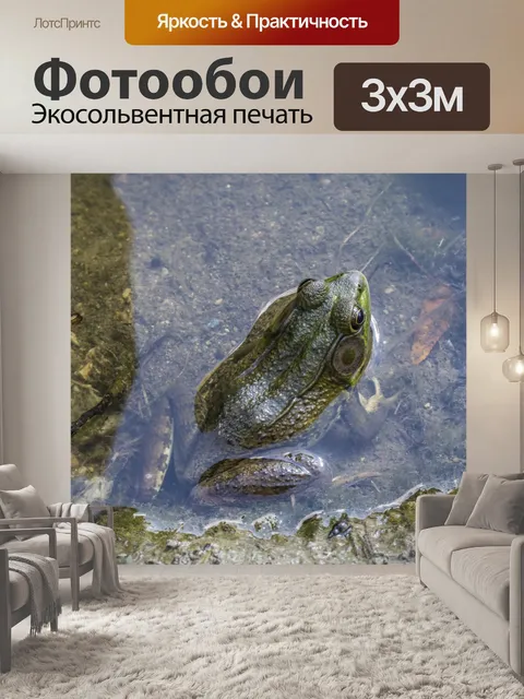 Фотообои Зеленая лягушка