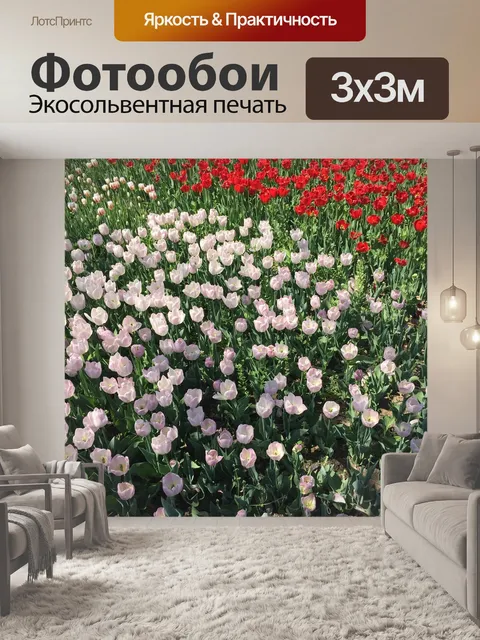 Фотообои Тюльпан