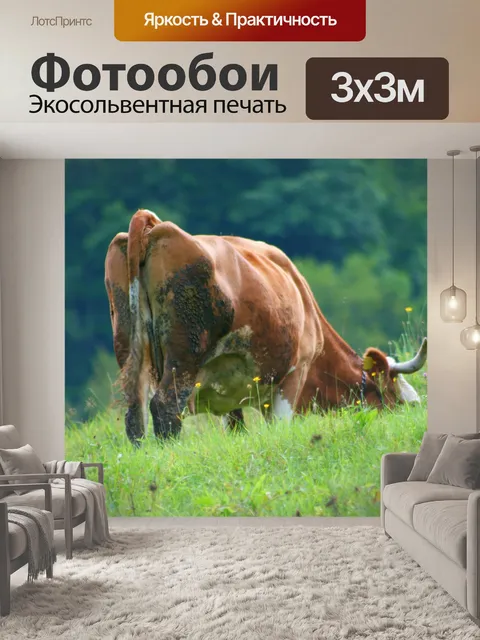 Фотообои Выпас коровы