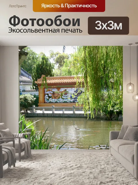 Фотообои Дракон стену через воду