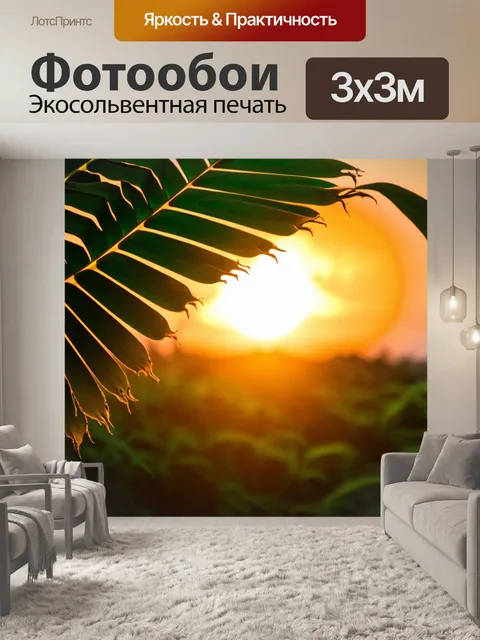 Фотообои листья тропических растений на фоне заката