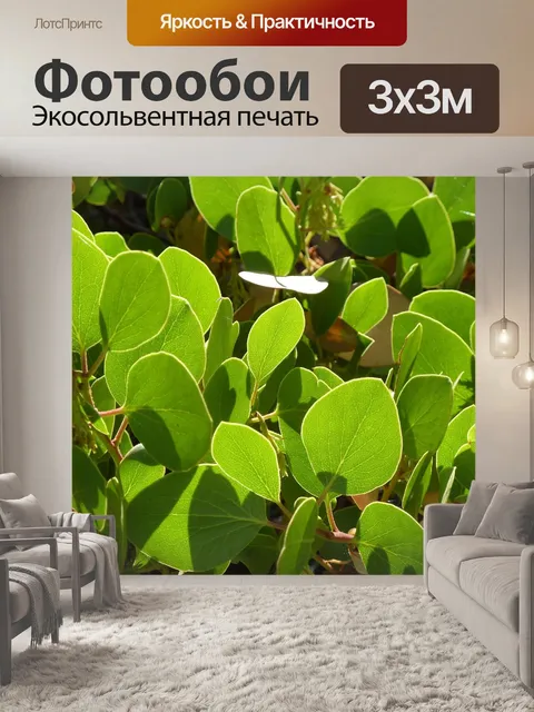 Фотообои Листья манзаниты