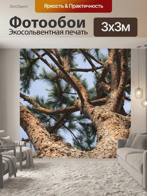 Фотообои Сосна