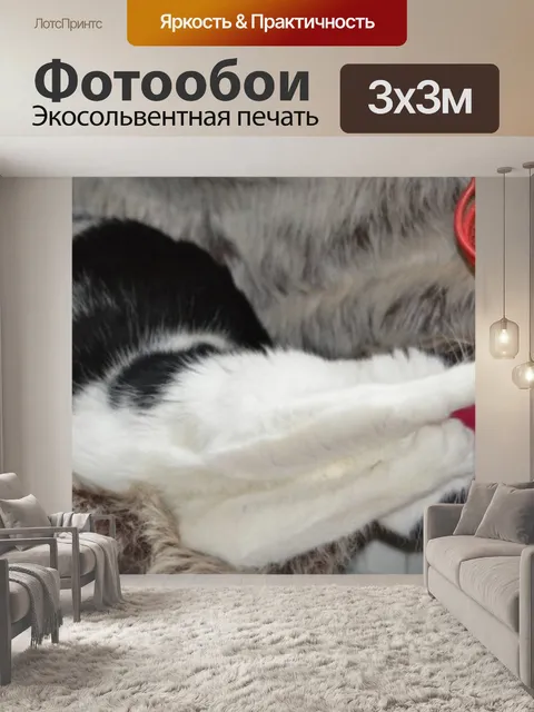 Фотообои Играют кошки